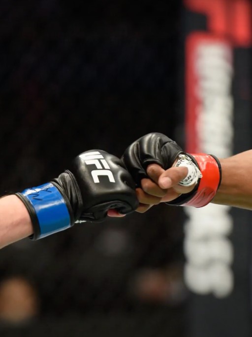 UFC partnership